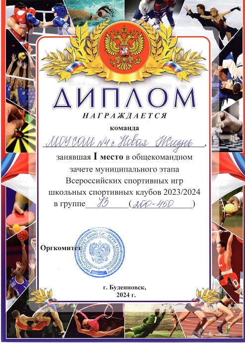 Муниципальный уровень.