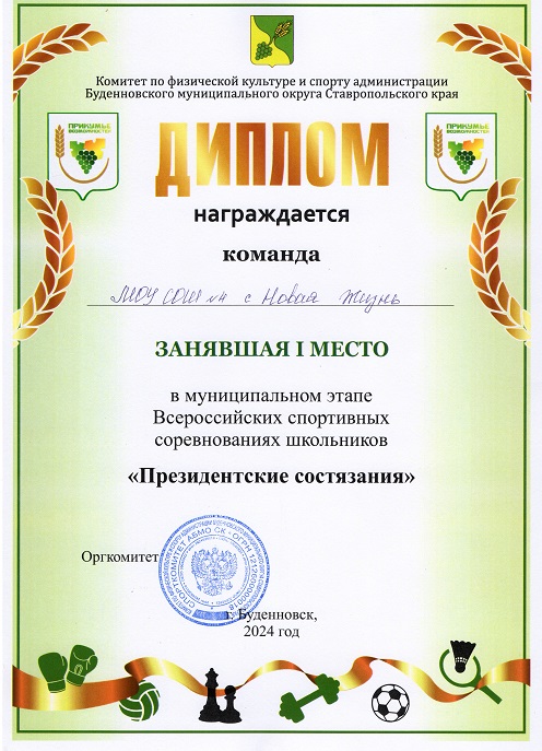 Муниципальный уровень.