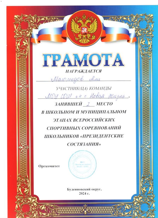 Муниципальный уровень.