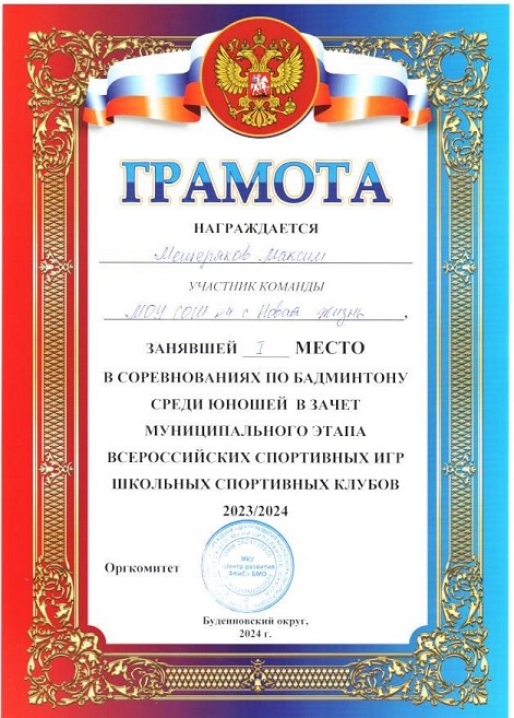 Муниципальный уровень.