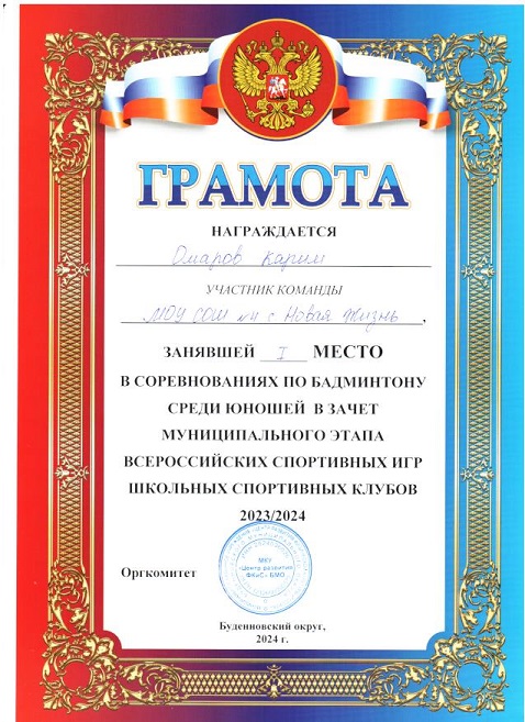 Муниципальный уровень.
