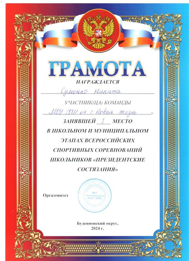Муниципальный уровень.